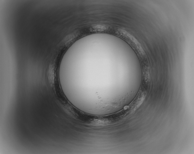 X0000103130455200809051613