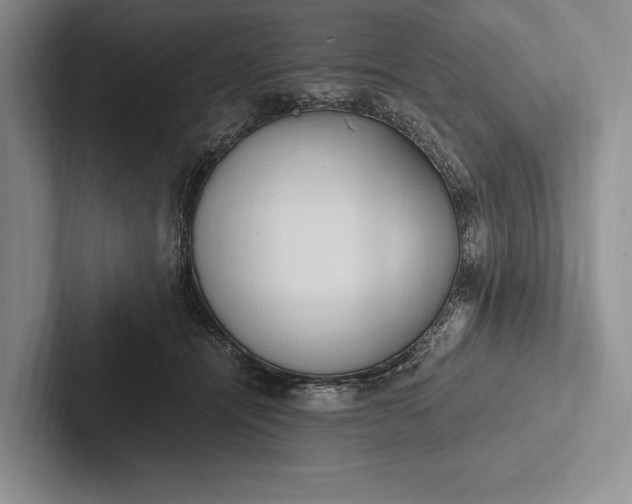X0000103130464200809051613