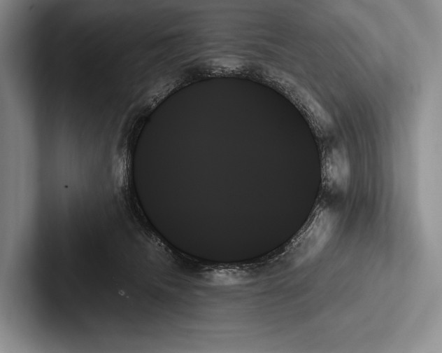 X0000103130468200809051613