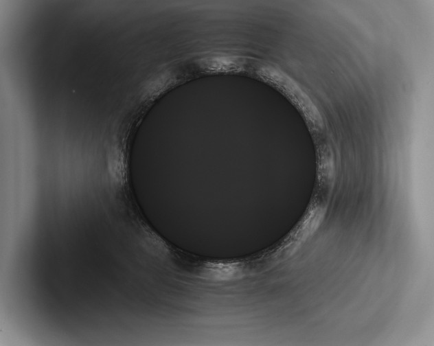X0000103130469200809051613