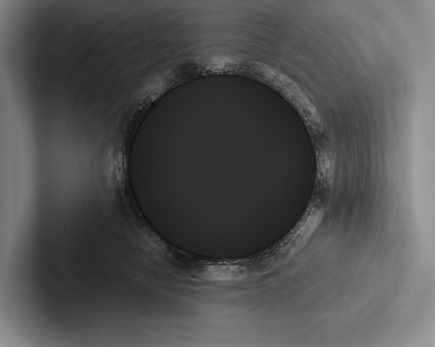 X0000103130470200809051613