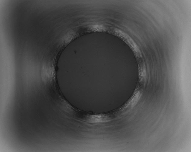 X0000103130473200809051613