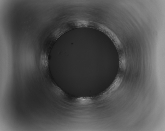 X0000103130477200809051613