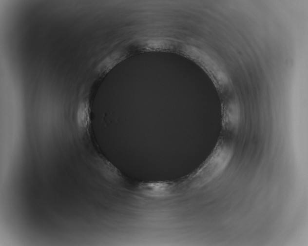X0000103130478200809051613