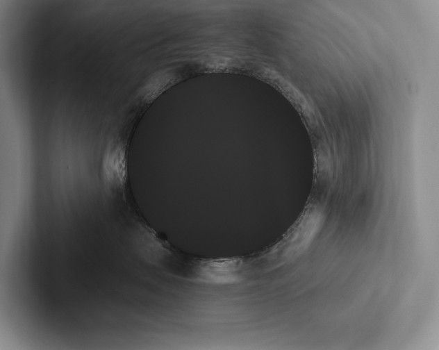 X0000103130479200809051613