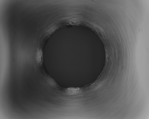 X0000103130480200809051613