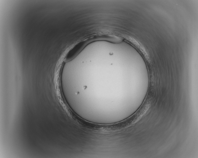X0000103130481200809051612