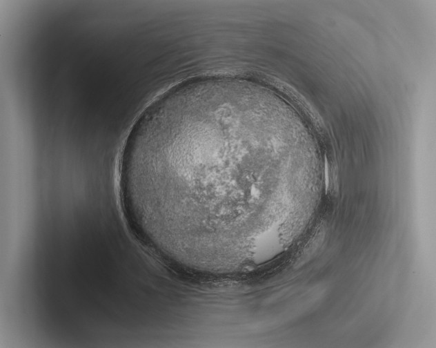 X0000103130483200809051612