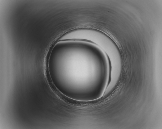 X0000103130485200809051612