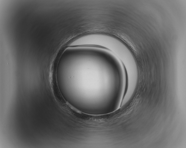 X0000103130491200809051612