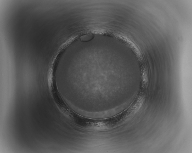 X0000103130492200809051612