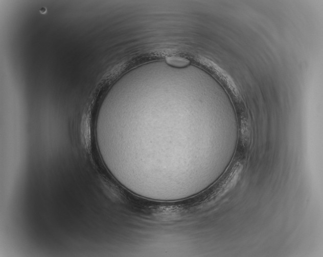 X0000103130493200809051612