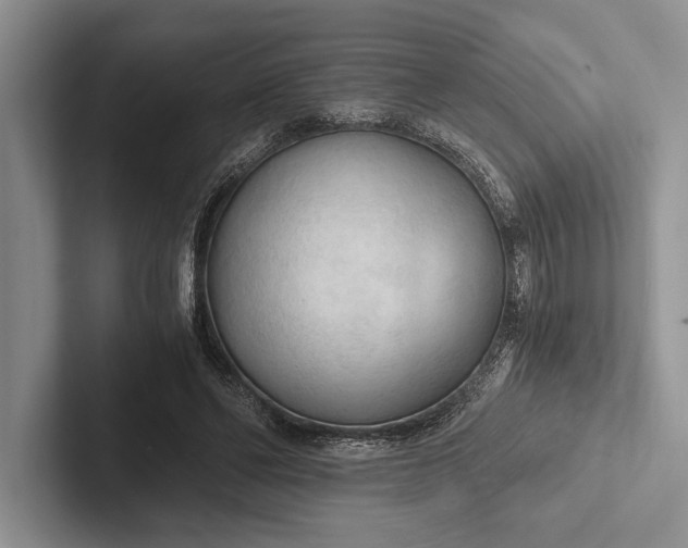 X0000103130494200809051612