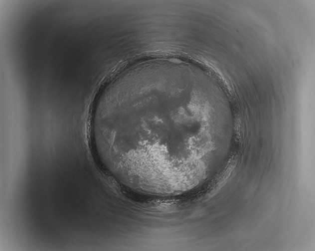 X0000103130495200809051612