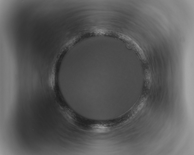 X0000103130496200809051612
