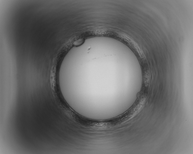 X0000103130497200809051612