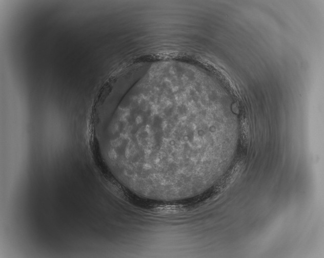 X0000103130499200809051612