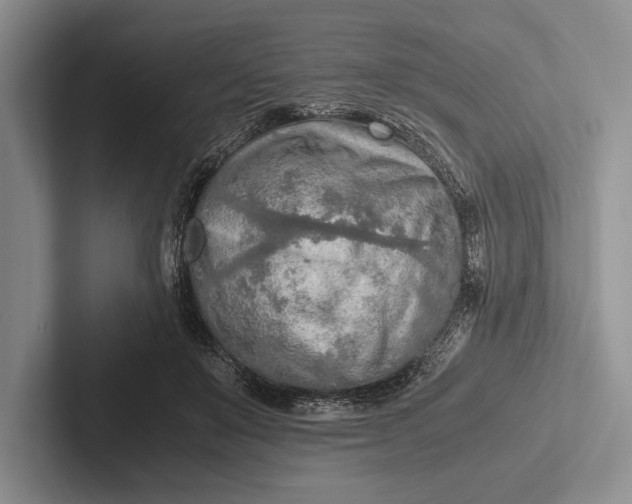X0000103130503200809051612