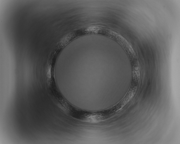 X0000103130504200809051612