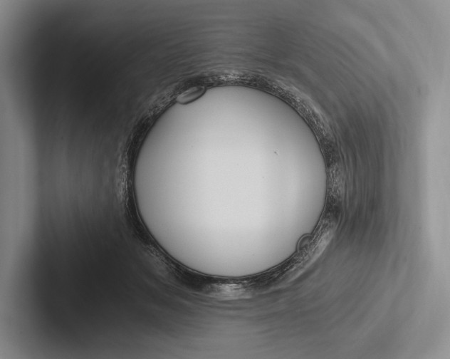 X0000103130509200809051612