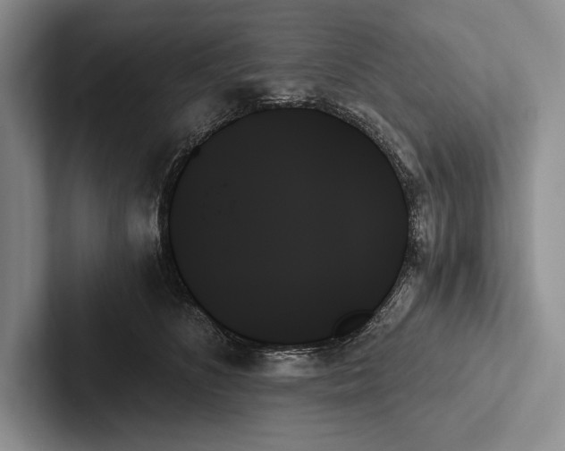 X0000103130516200809051612