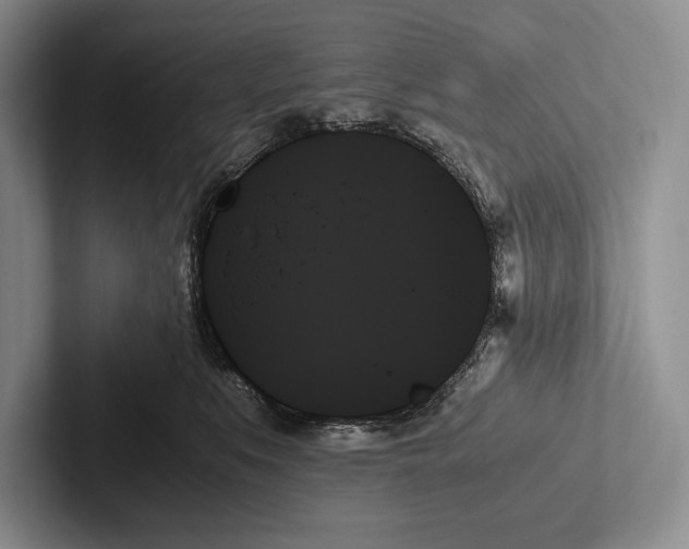 X0000103130519200809051612