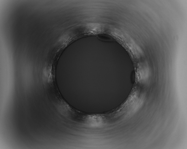 X0000103130520200809051612