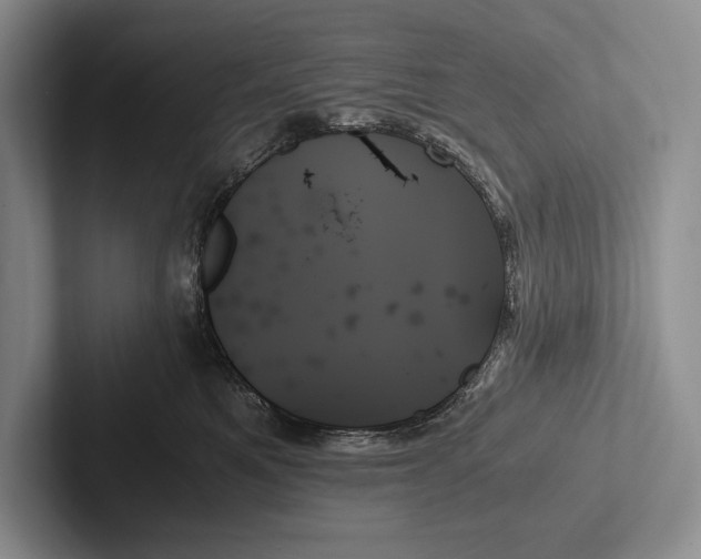 X0000103130521200809051612