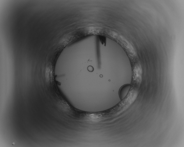 X0000103130522200809051612