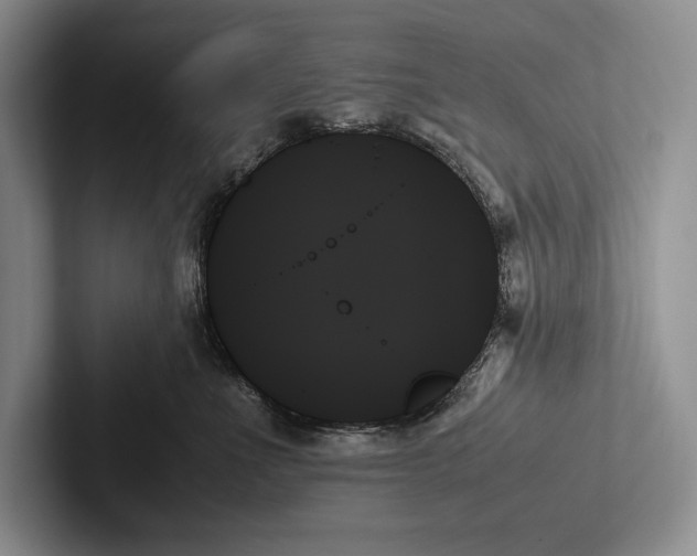 X0000103130523200809051612