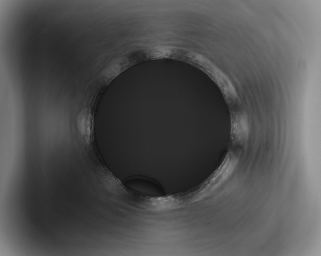 X0000103130525200809051612