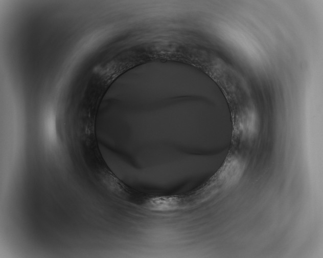 X0000103130526200809051612