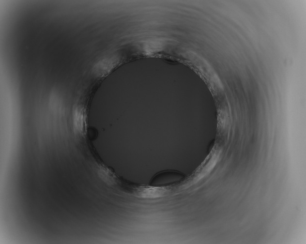X0000103130527200809051612