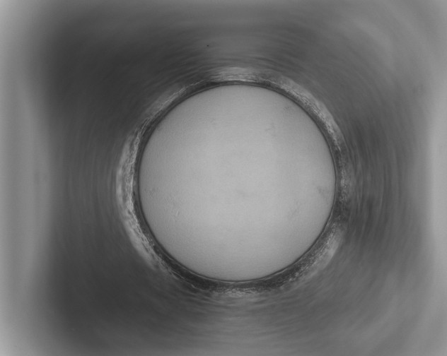 X0000103130529200809051611