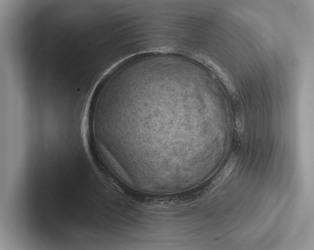 X0000103130532200809051611
