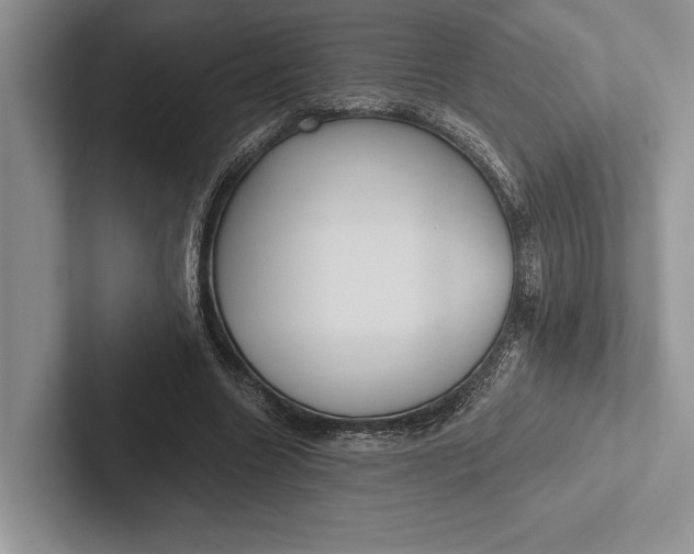 X0000103130538200809051611