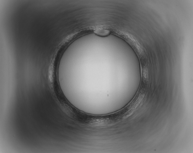 X0000103130540200809051611