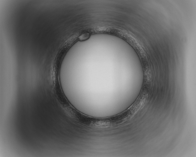 X0000103130546200809051611
