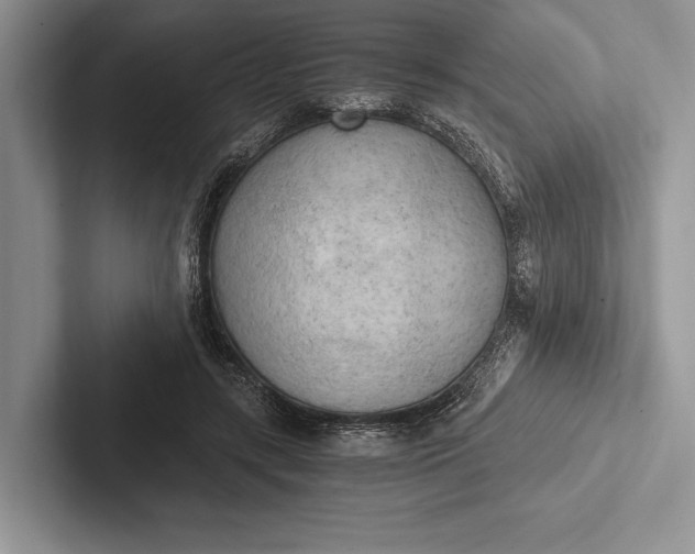 X0000103130547200809051611