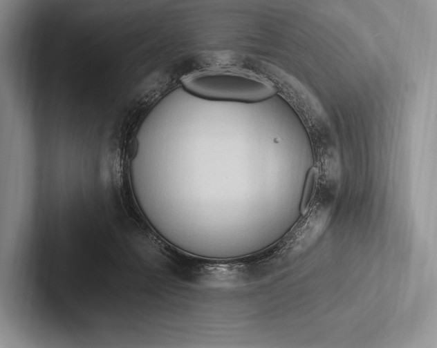 X0000103130558200809051611