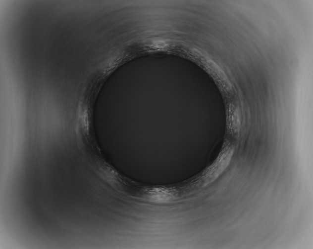 X0000103130562200809051612