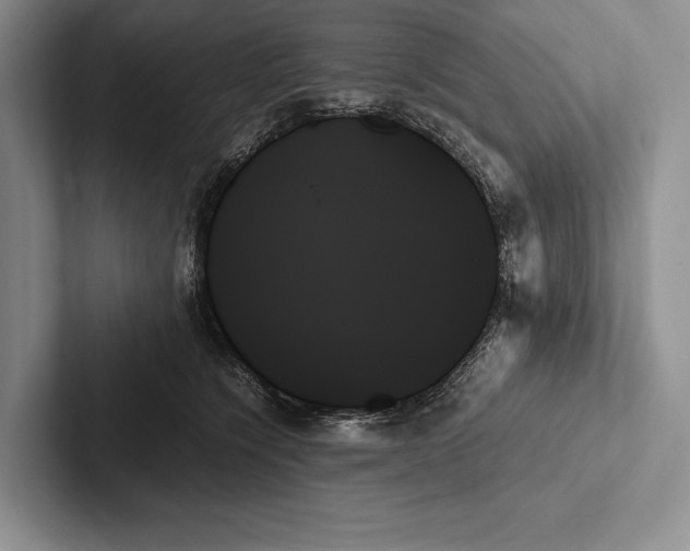 X0000103130564200809051612