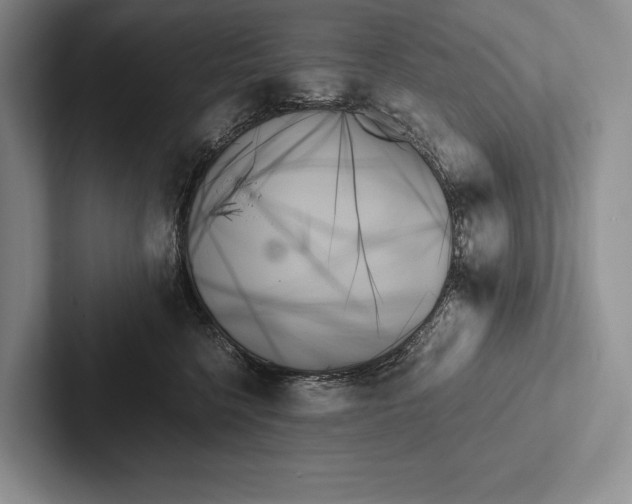 X0000103130568200809051612