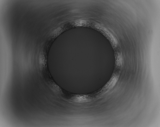 X0000103130569200809051612