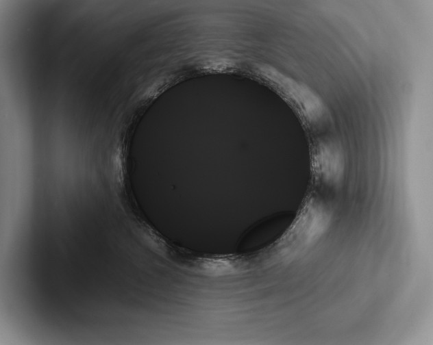 X0000103130572200809051612