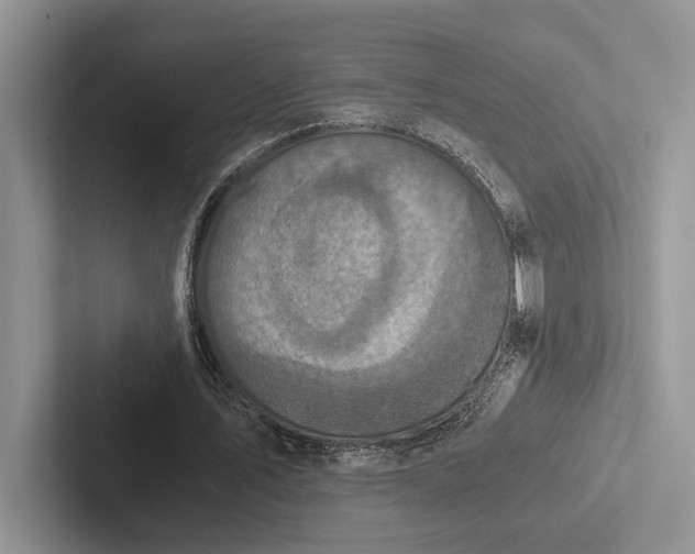 X0000103130579200809051611