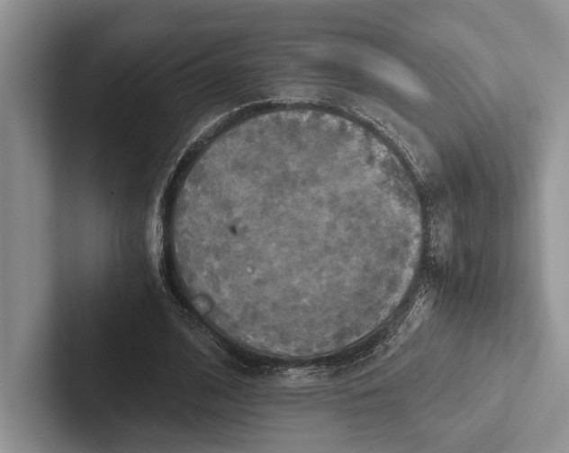 X0000103130584200809051611