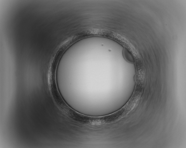 X0000103130587200809051611