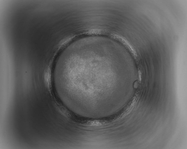 X0000103130588200809051611