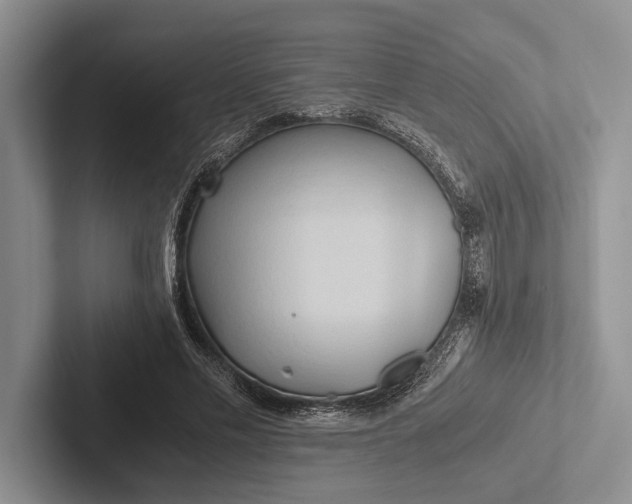 X0000103130589200809051611